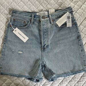 Aritzia Denim Forum Light Blue Jean Shorts